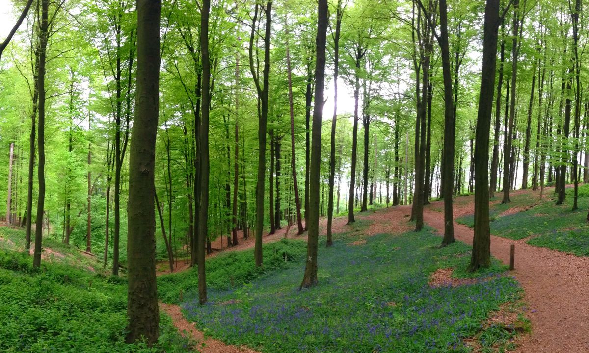 Nature